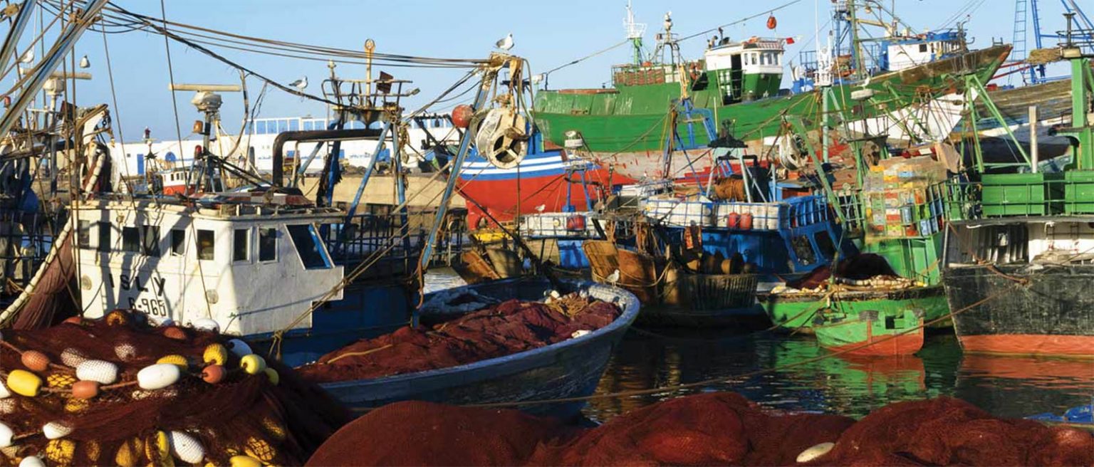 illegal-and-unregulated-fishing-phil-vincent-books