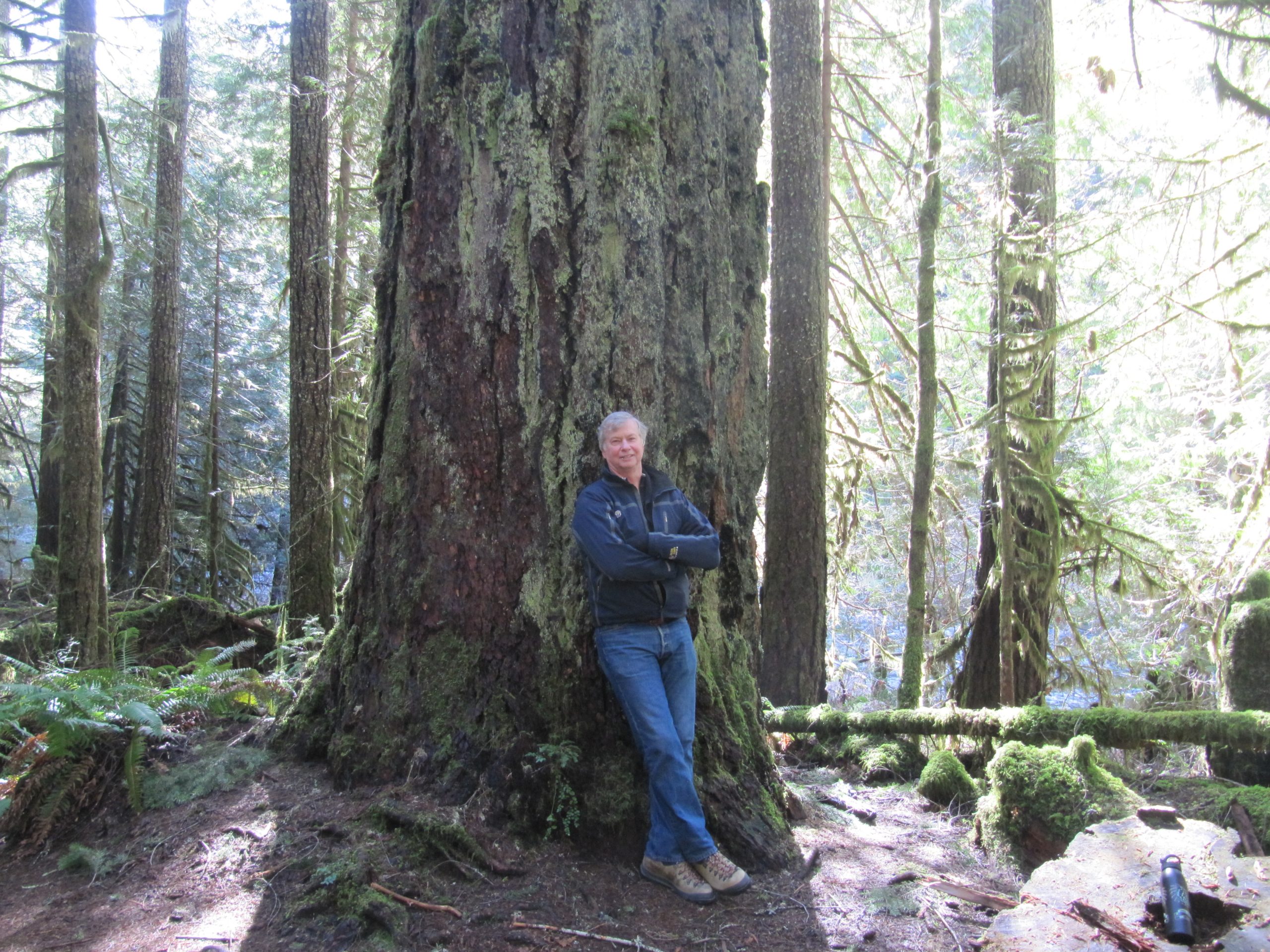 Olympic National Park